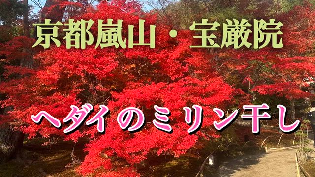 京都嵐山・天龍寺・宝厳院・ヘダイのミリン干しの記事動画