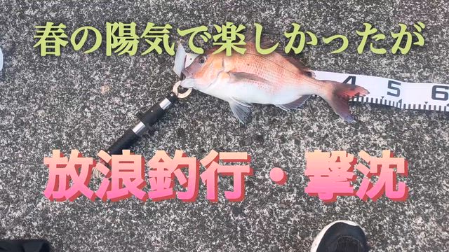 放浪釣行・大撃沈の巻の記事動画