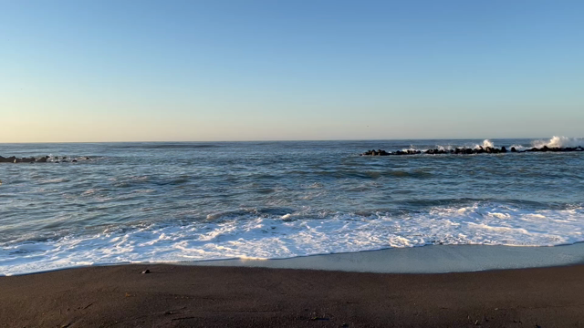 素敵な今日に、夏の癒しを。の記事動画