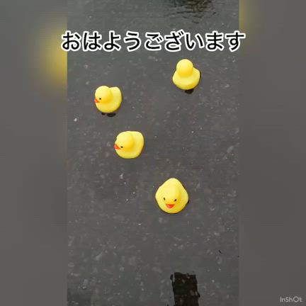 冷たい雨で。の記事動画