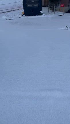 １月２２日は雪の為休業させて頂きますの記事動画