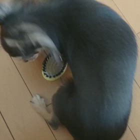 なにしてるん？の画像
