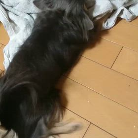 発作の画像