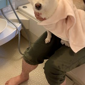 こんばんはの画像