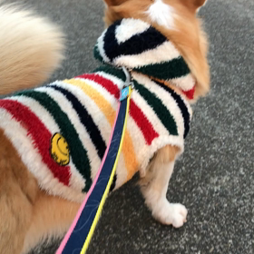 ””見つかりました～>^_^<””の画像