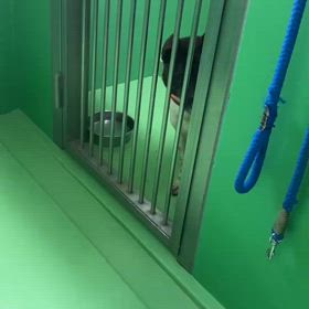追いつかない。。。のサムネイル画像