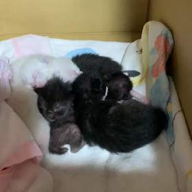 一気に。。。のサムネイル画像