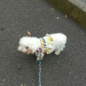 生き抜いたのサムネイル画像