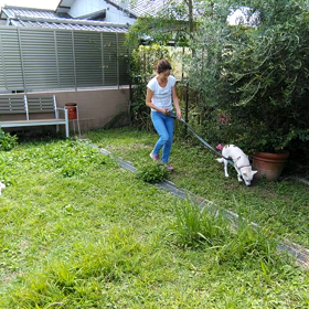 野犬と呼ばれて～カズくんのサムネイル画像