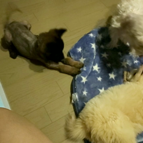 26時間のサムネイル画像