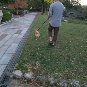 幸せを掴んだこたち(#^.^#)のサムネイル画像