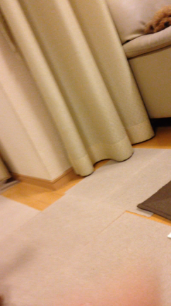 初めて遊んだ〜  ^ ^の記事動画