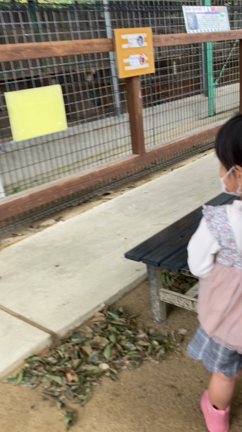 ❁２年振り！リンクコーデで動物園♪(写真大量・動画)♡*｡ﾟ❁の記事動画