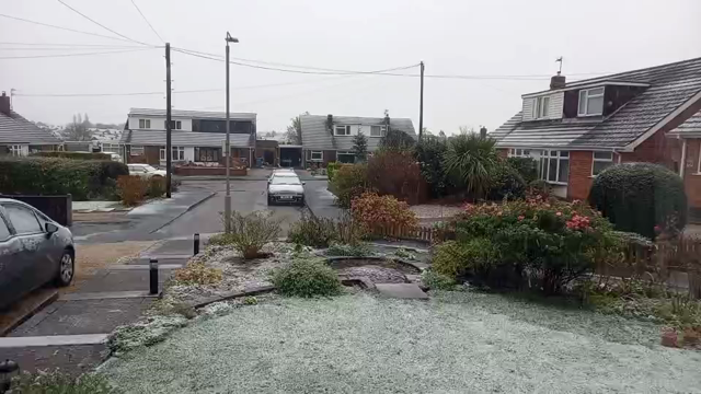 UK: first snow this year ❄️ 今年初の雪の記事動画