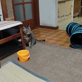 2025/03/19の画像