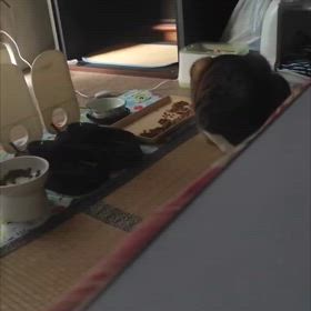2025/03/09の画像