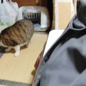 2025/03/16の画像
