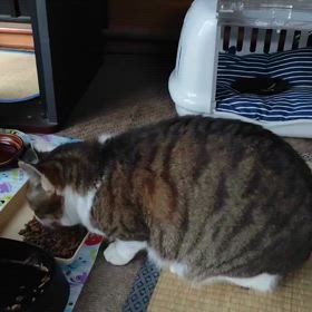 2025/03/18の画像