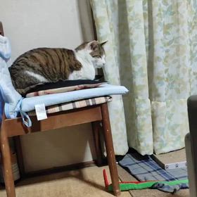 2025/03/16の画像