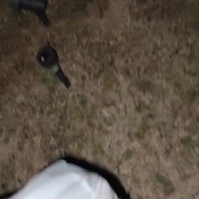 2025/03/19の画像