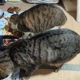 2025/03/12の画像