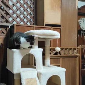 2025/03/17の画像