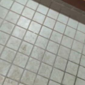 2025/03/21の画像