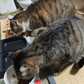 2025/03/14の画像
