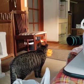 2025/03/18の画像