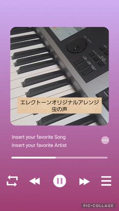 【音声あり②】虫の声エレクトーンオリジナルアレンジの記事動画