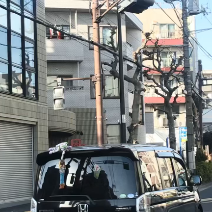 ウッディとバズがの記事動画