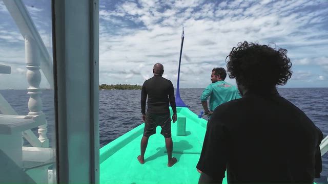 シェラトンモルディブ　お魚天国♪♪シュノーケリングサファリ（後編）の記事動画