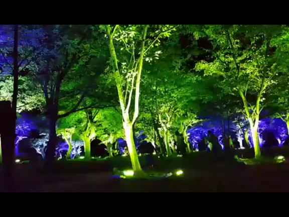 ときわ公園で光と音のデジタルアート開催！の記事動画