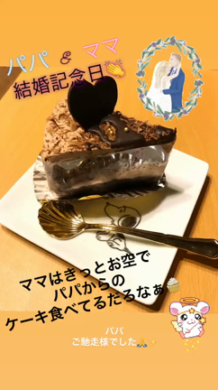 ☆パパとママの結婚記念日！★の記事動画