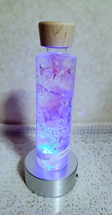 ディプロマ到着！の記事動画