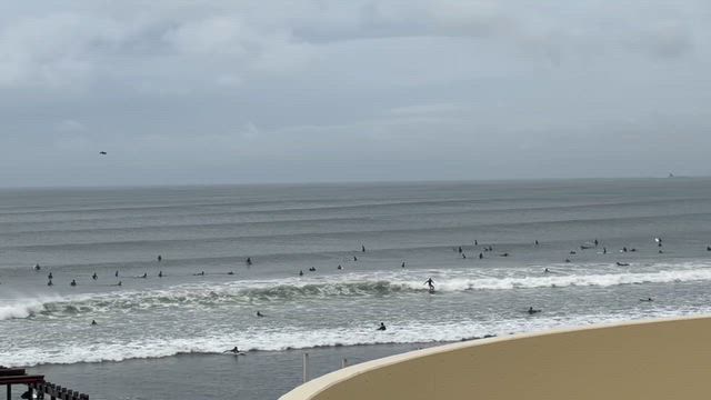 東京＆神奈川旅行③新江ノ島水族館の記事動画