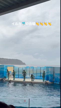 東京＆神奈川旅行③新江ノ島水族館の記事動画