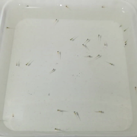 おうち時間の画像