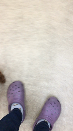 トリミングの記事動画