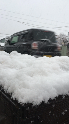初雪の記事動画