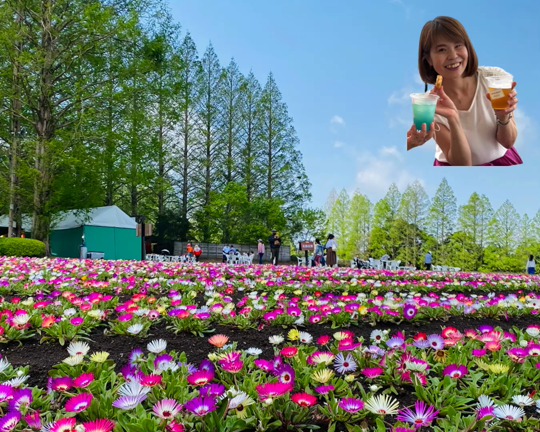4月の活動報告／無料プレゼントのお知らせの記事動画
