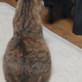 2024/06/30の画像