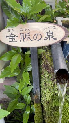阿蘇＆高千穂の旅19 金運アップ狙って水基めぐりの記事動画