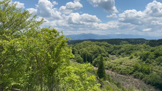 阿蘇＆高千穂の旅14 素敵スポットでお茶タイムの記事動画