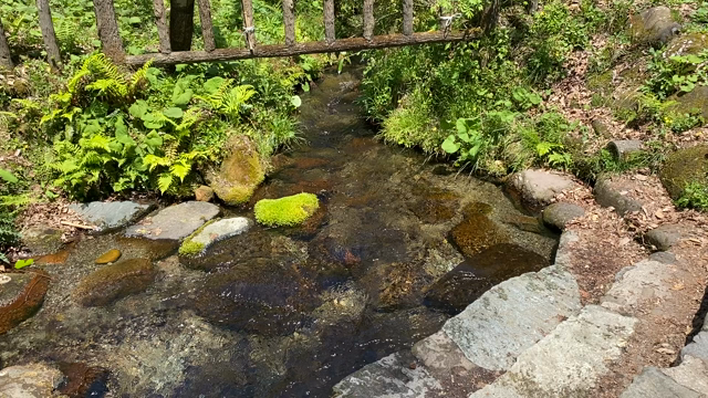 【岡山県蒜山高原】癒しのパワースポット！土地を守る神様に出会えたよの記事動画