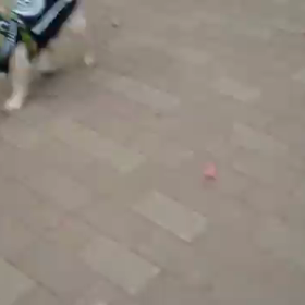 GWの最終日はの画像