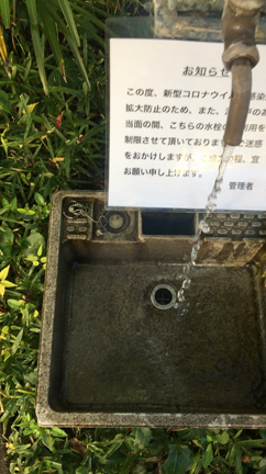 森の井戸水をお客様にもサービスしています☆の記事動画