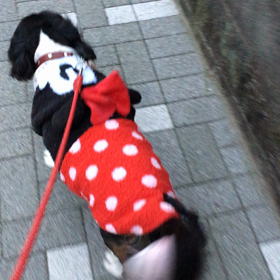 お出かけ前にの画像