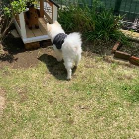 イタズラしてみたの画像