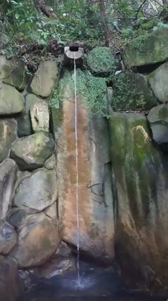 石切剣箭神社の記事動画